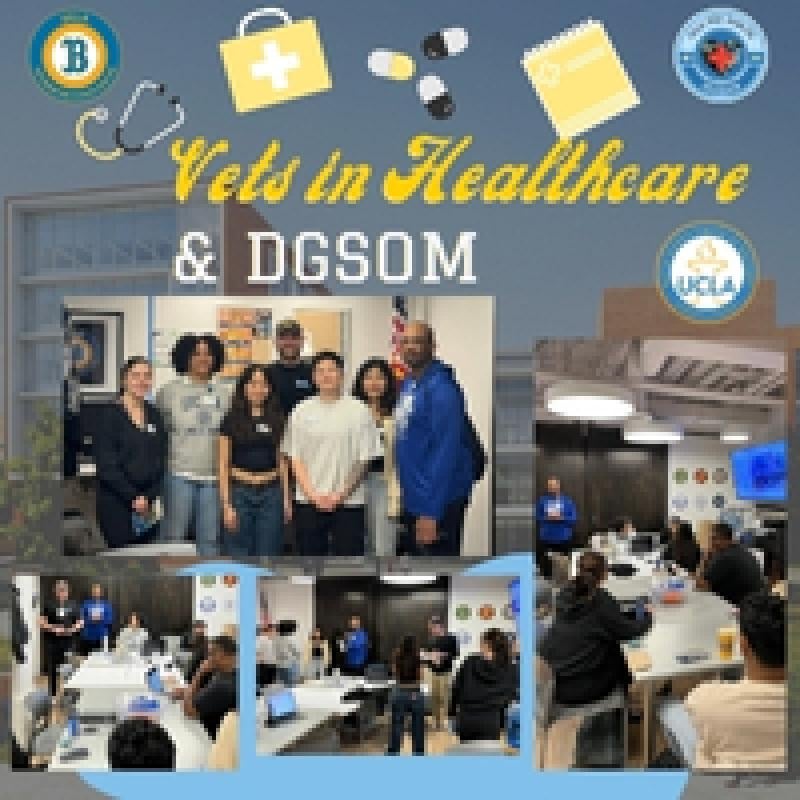 04NOV205 VIH-DGSOM-recap(200x200px)